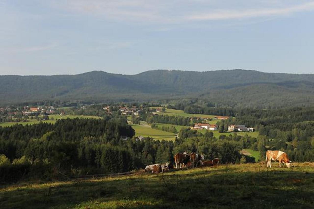Exenbacher Hof Arnbruck Bagian luar foto