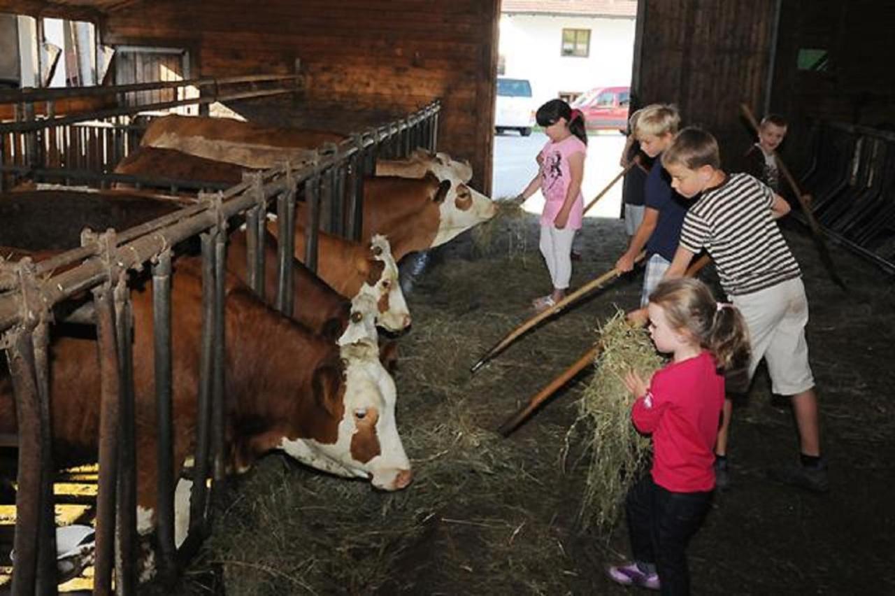 Exenbacher Hof Arnbruck Bagian luar foto